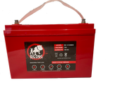 Big Dog Battery 12V 120AH DC  (I)